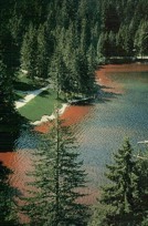 Last redness of the lake