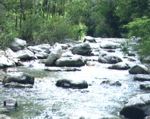 Torrente